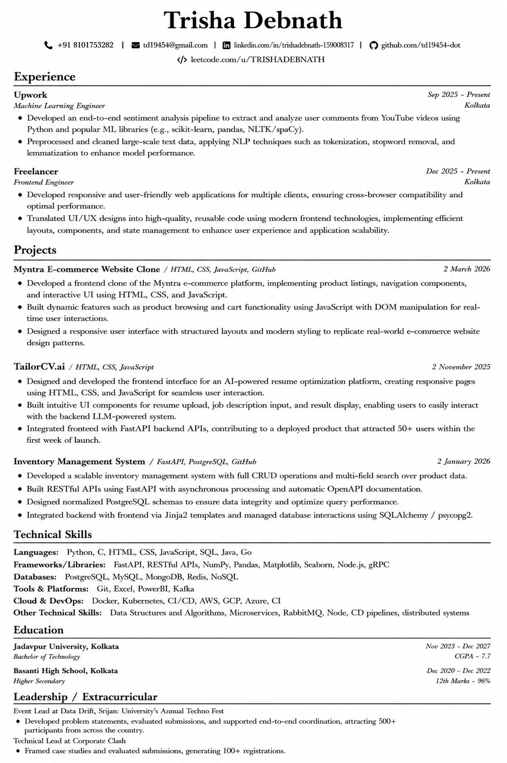 Professional Clean resume template preview